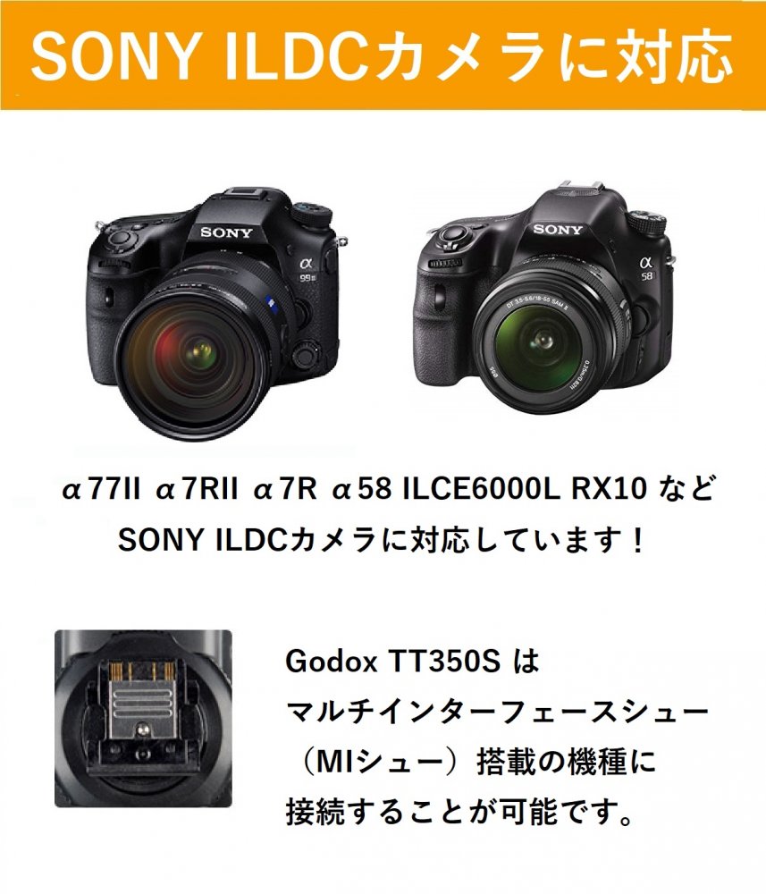 日本正規代理店GodoxTT350SスピードライトTTLSONY対応[オリジナルセット]